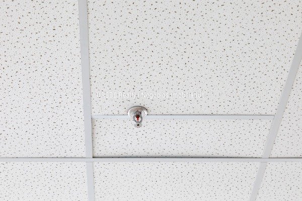 Imagem da propriedade 24936 34