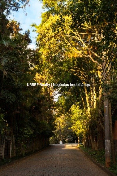 Imagem da propriedade 24966 11