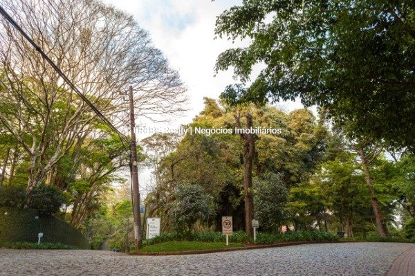 Imagem da propriedade 24966 12