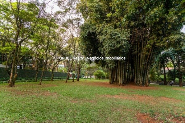 Imagem da propriedade 24966 15