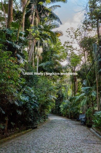 Imagem da propriedade 24966 16