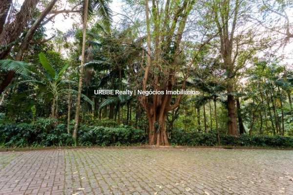 Imagem da propriedade 24966 20