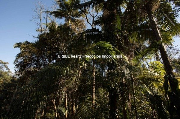 Imagem da propriedade 24966 56