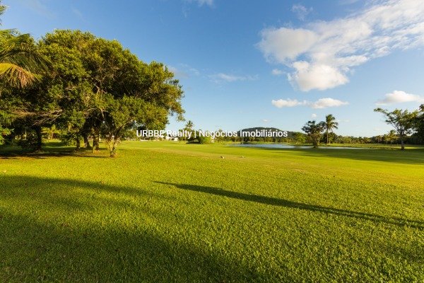 Imagem da propriedade 24971 4