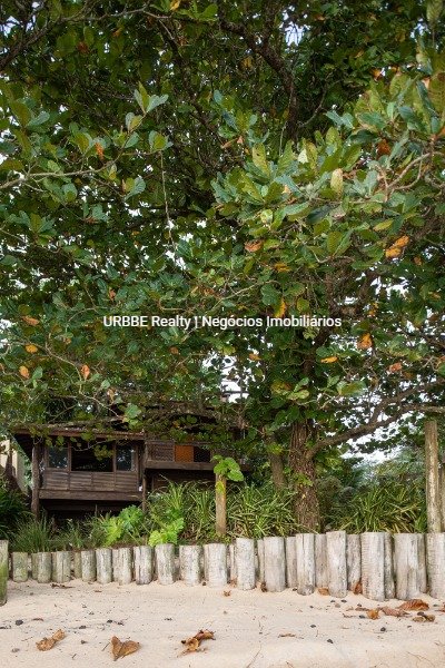 Imagem da propriedade 24973 30