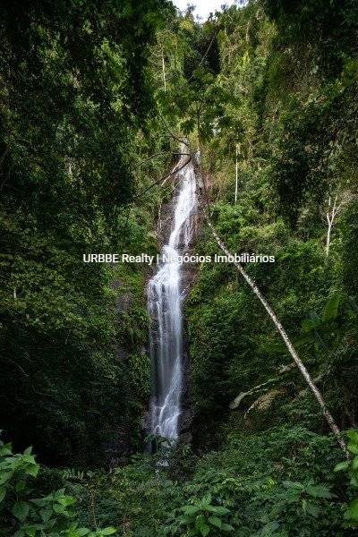 Imagem da propriedade 24973 33