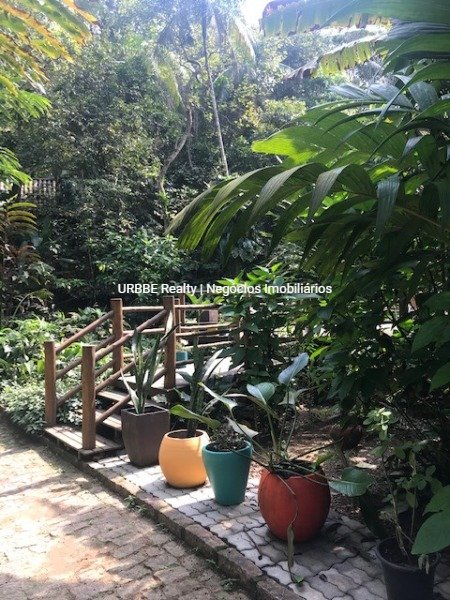 Imagem da propriedade 25095 3