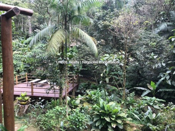 Imagem da propriedade 25095 8