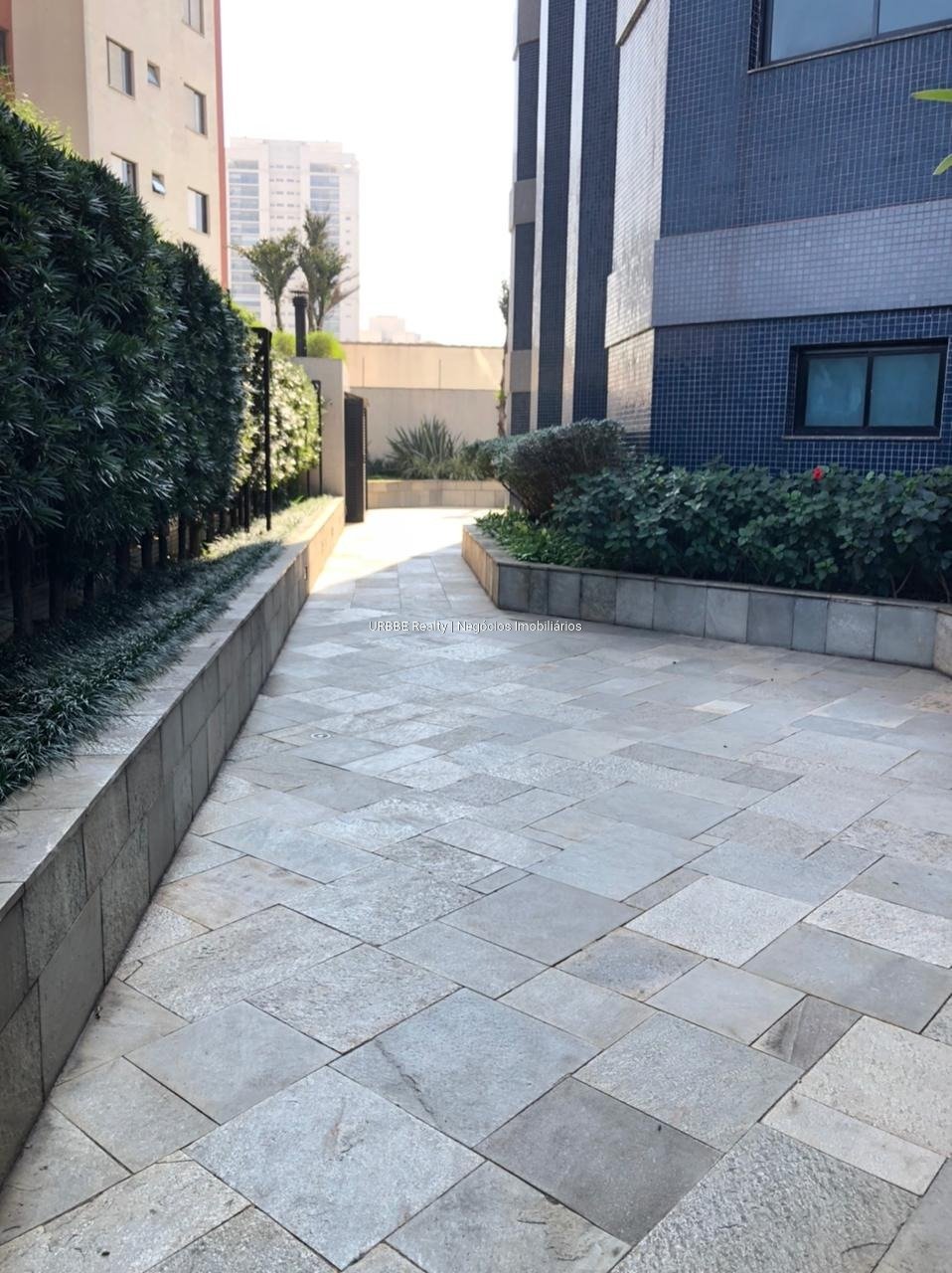 Imagem da propriedade 33