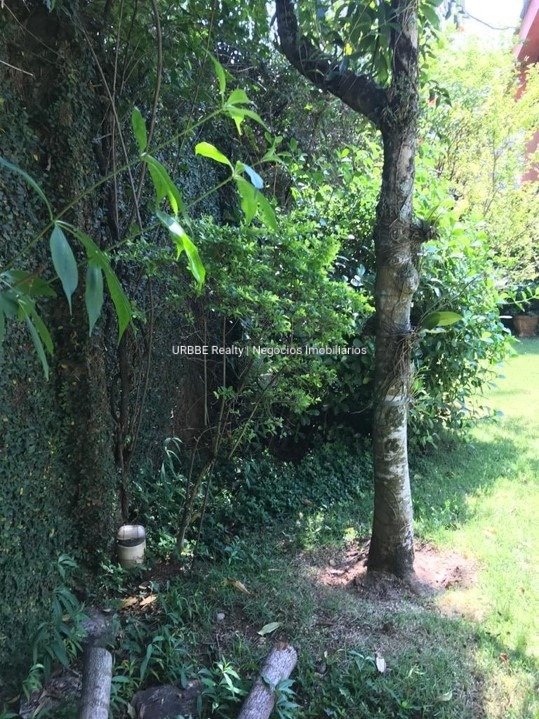 Imagem da propriedade 25418 29