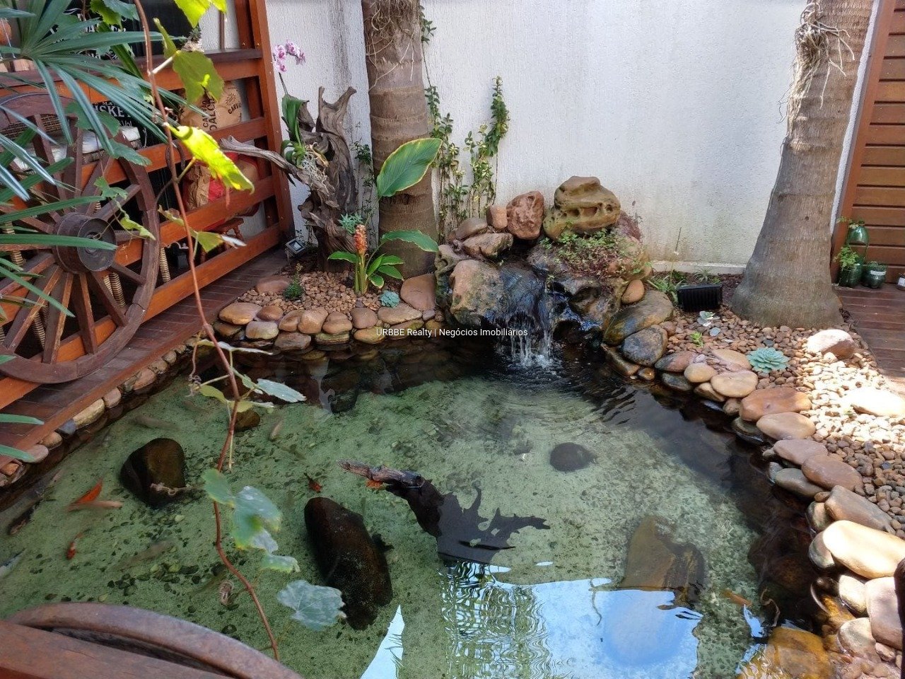 Imagem da propriedade 25605 21