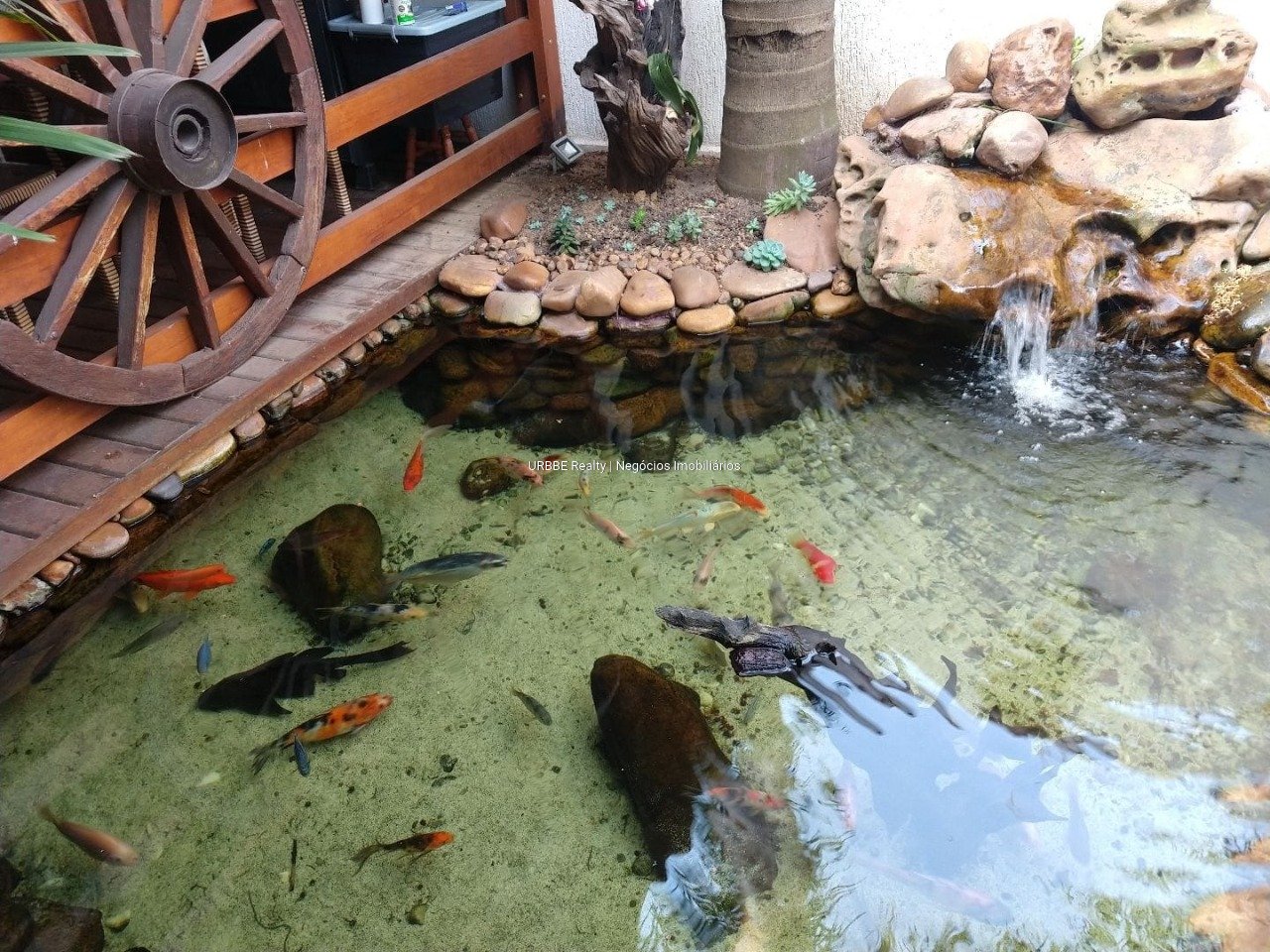 Imagem da propriedade 25605 23