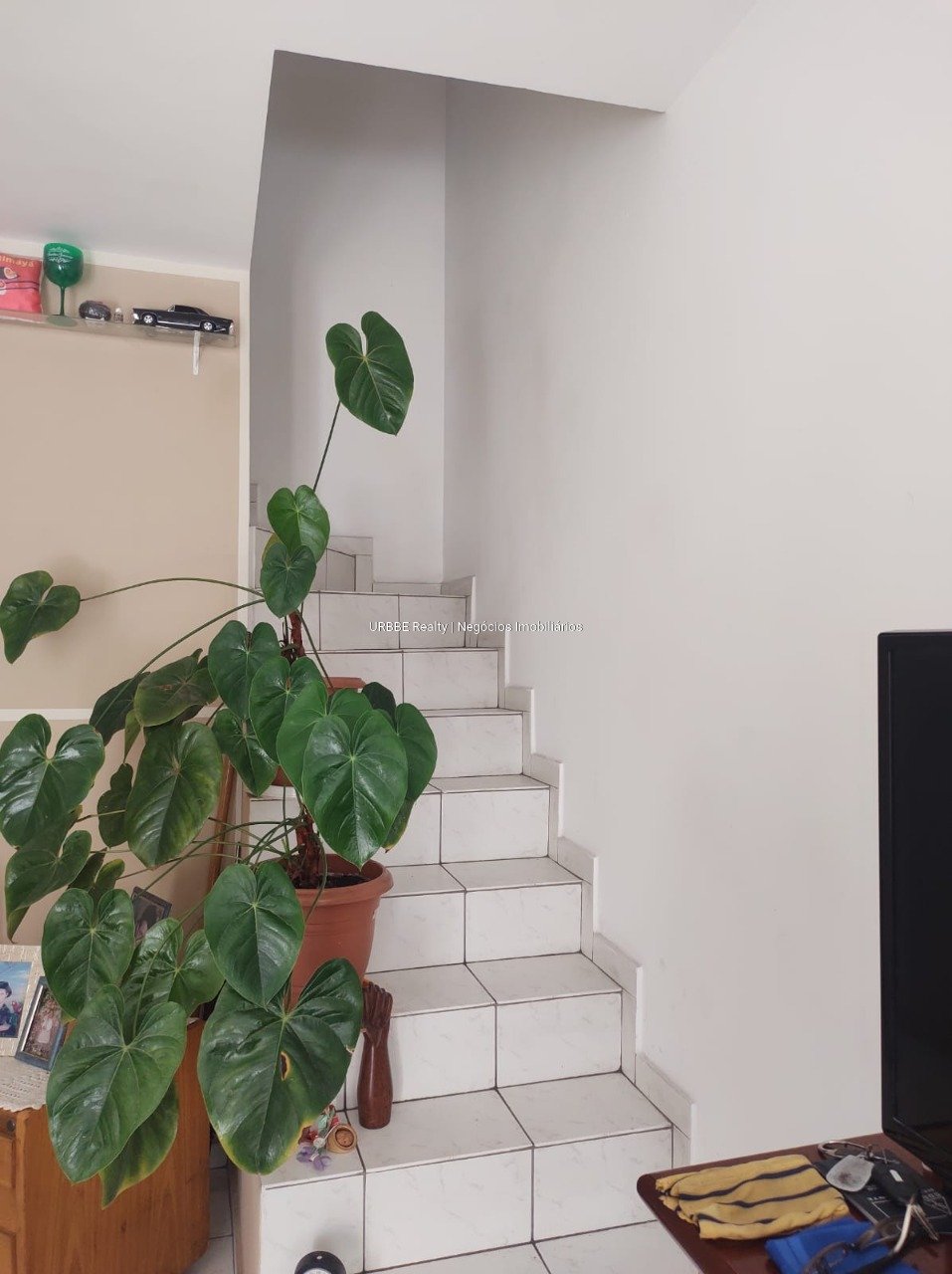 Imagem da propriedade 25636 2