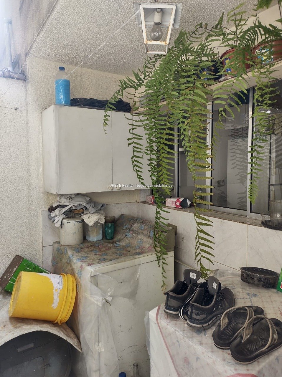 Imagem da propriedade 25636 16