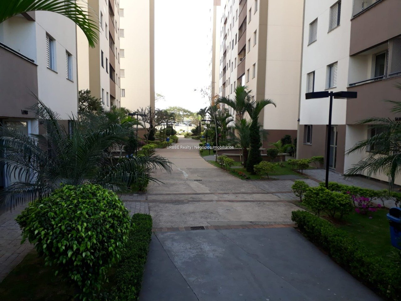 Imagem da propriedade 25934 19