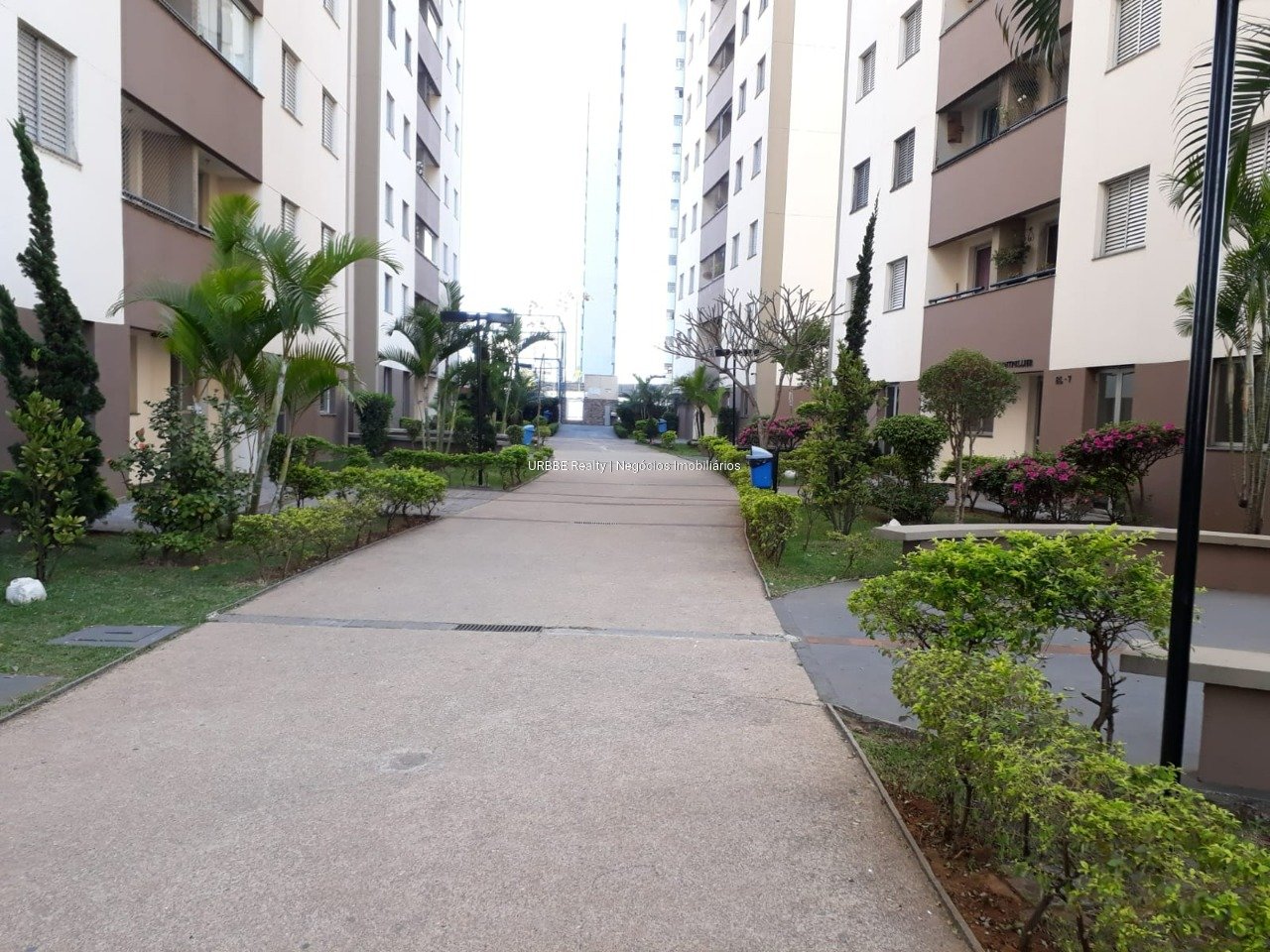 Imagem da propriedade 25934 18