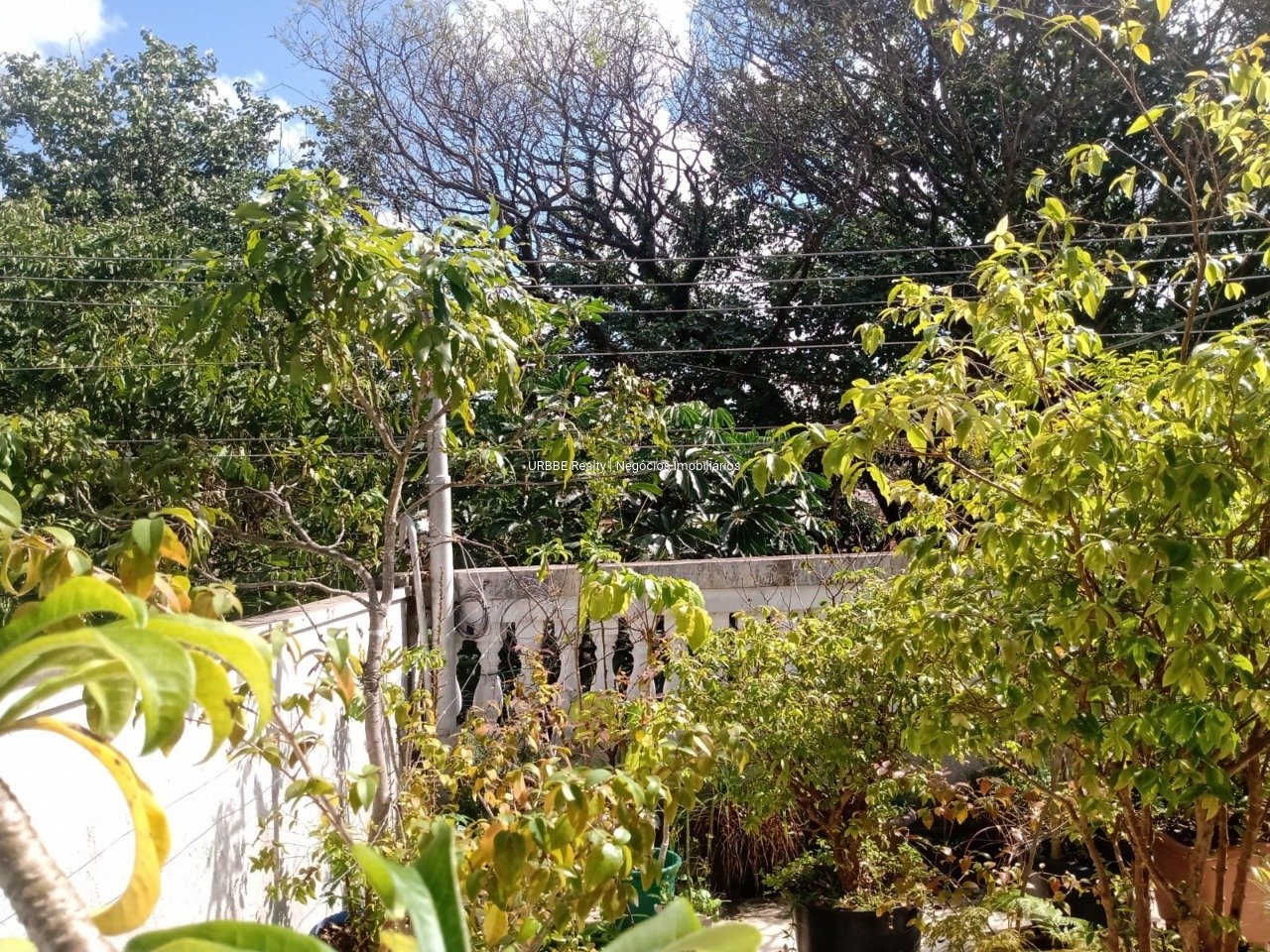 Imagem da propriedade 26194 27