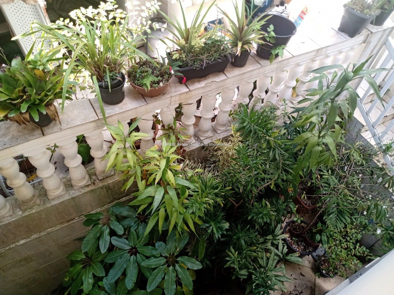 Imagem da propriedade 26194 28