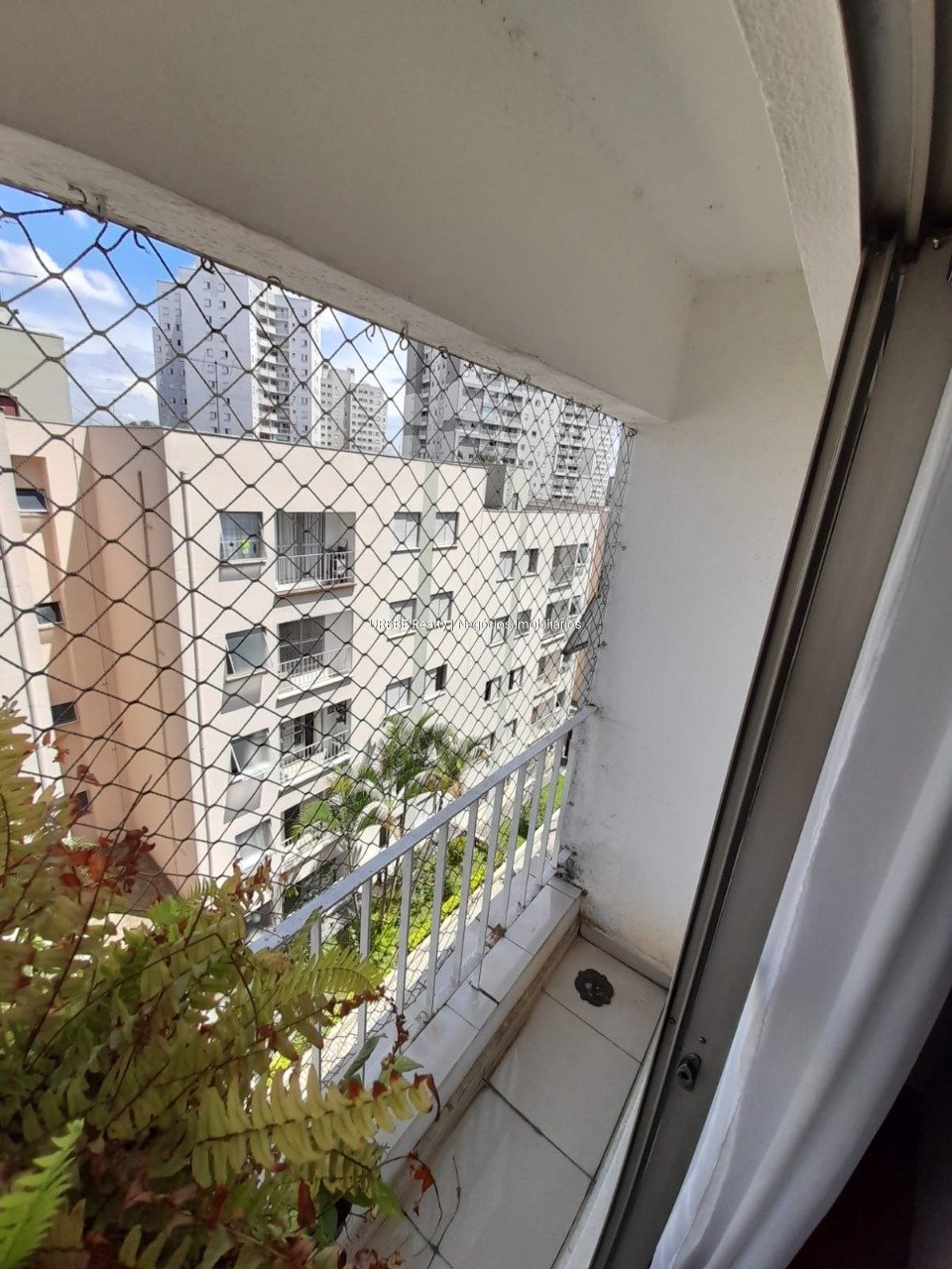 Imagem da propriedade 26265 17