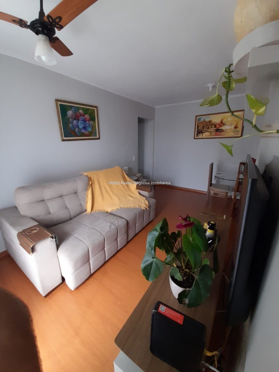 Imagem da propriedade 26265 3