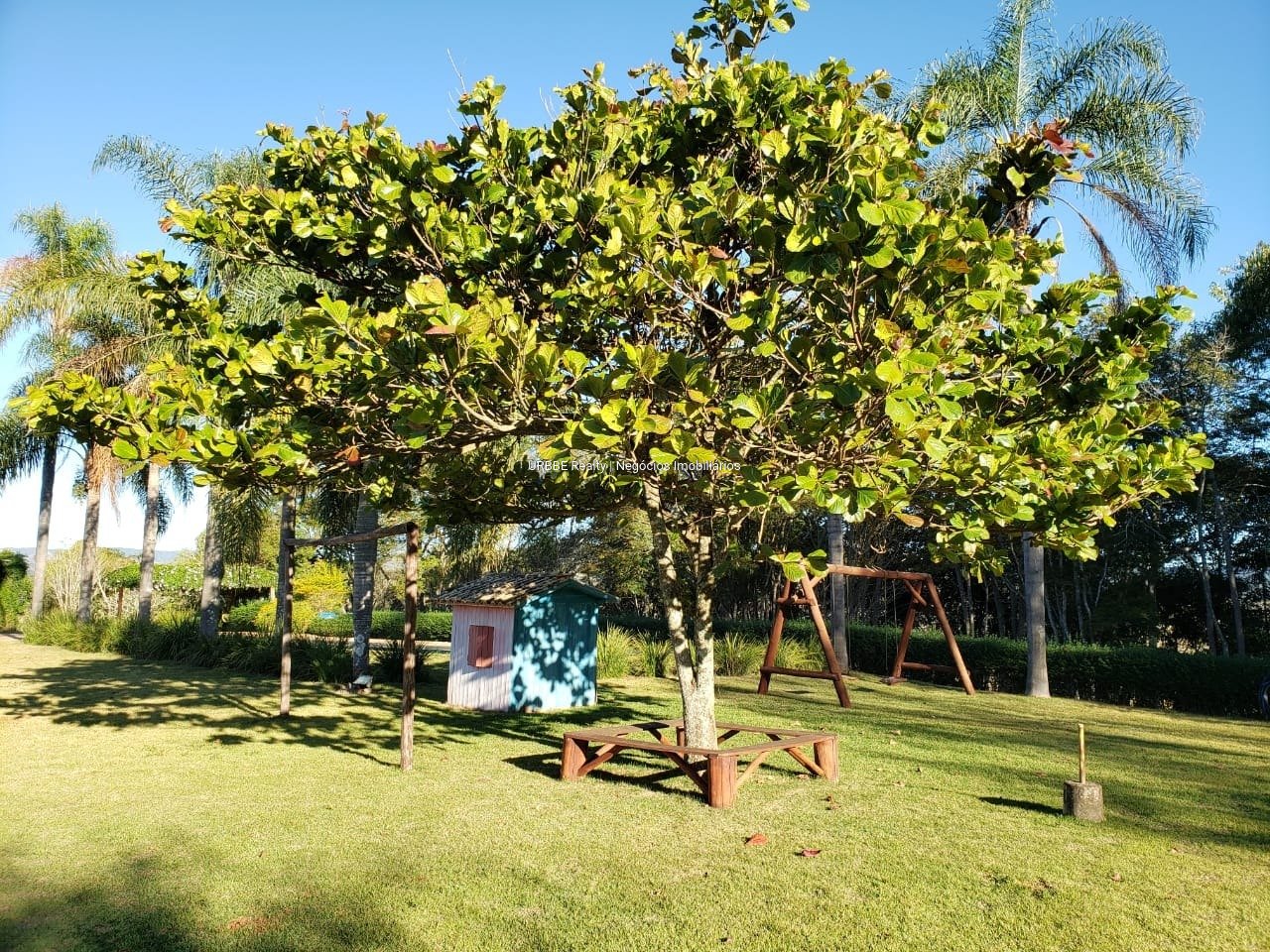 Imagem da propriedade 26287 13