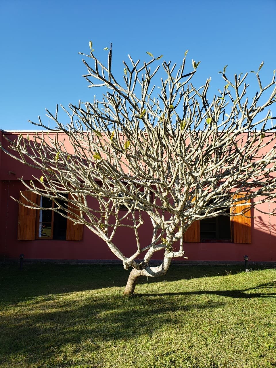 Imagem da propriedade 26287 27