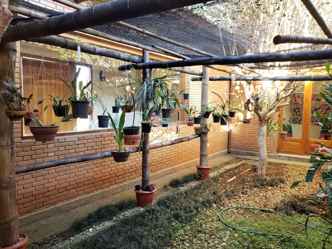 Imagem da propriedade 26287 35