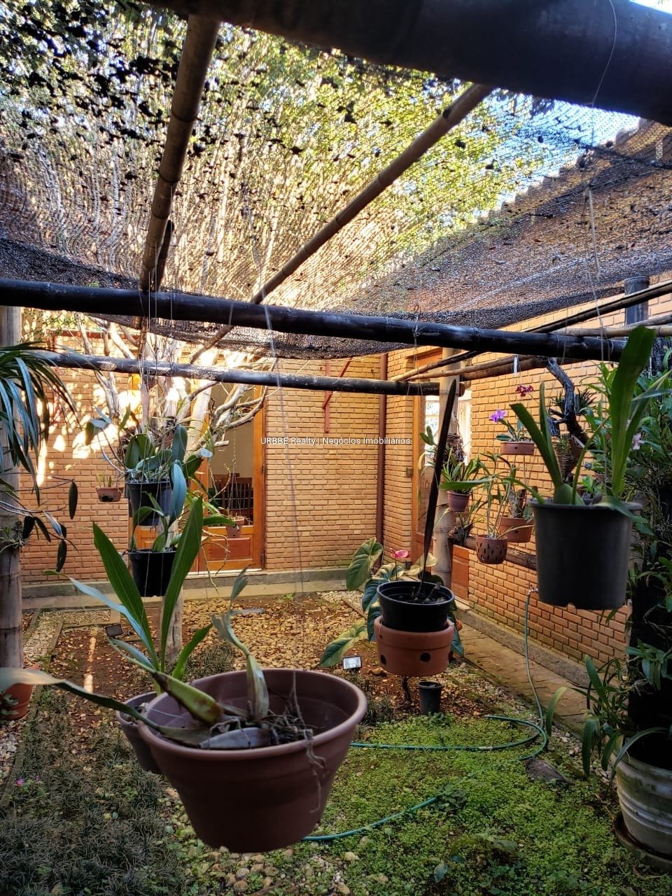 Imagem da propriedade 26287 36