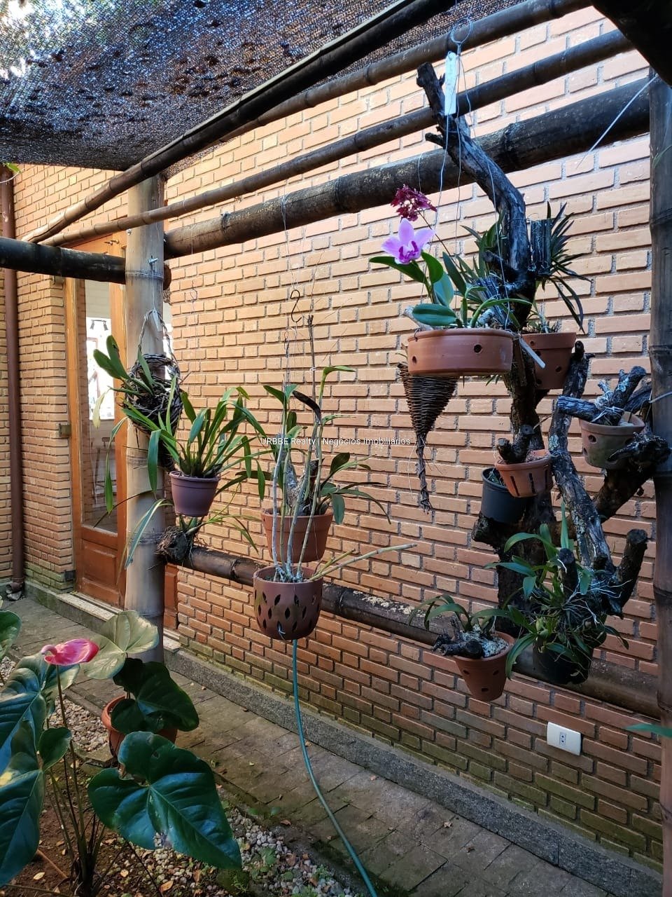 Imagem da propriedade 26287 37