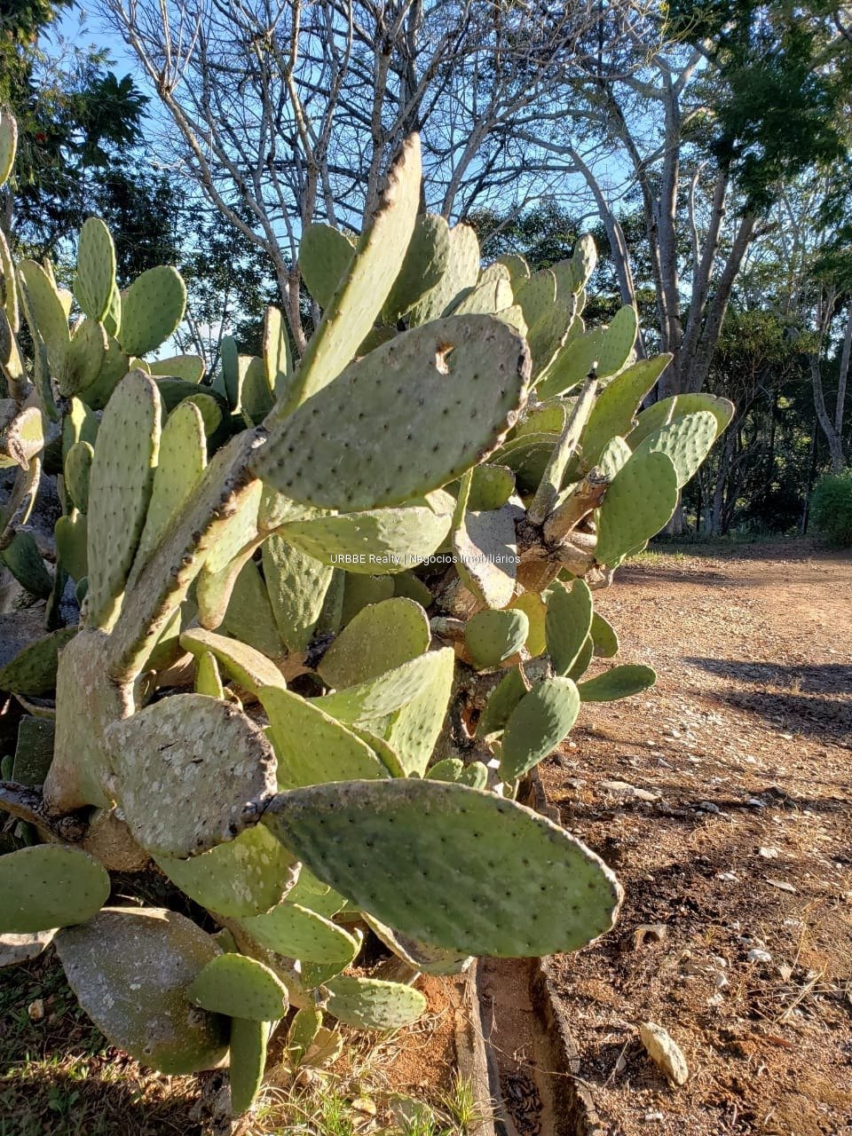 Imagem da propriedade 26287 47