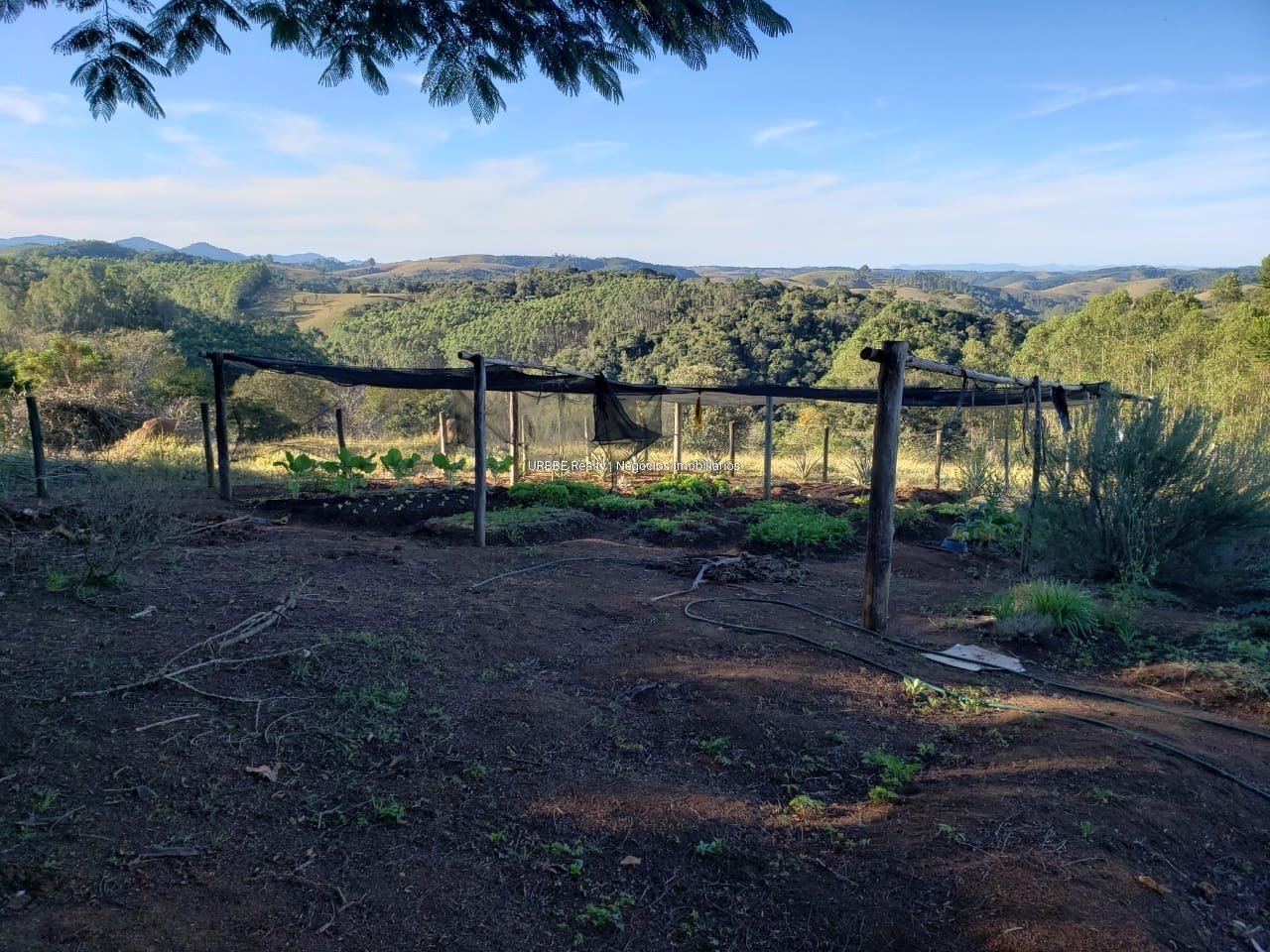 Imagem da propriedade 26287 48