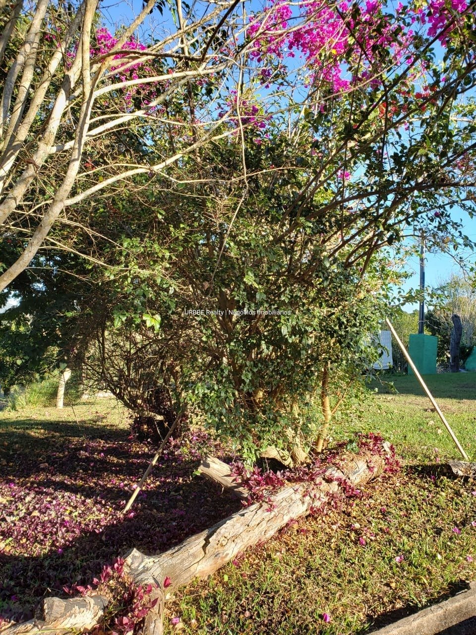 Imagem da propriedade 26287 51