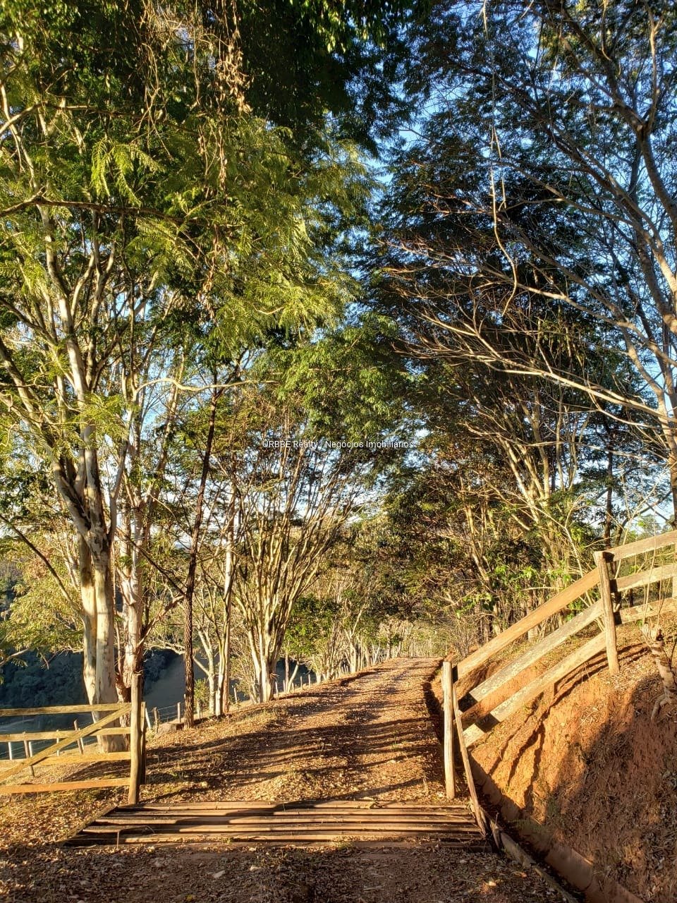 Imagem da propriedade 26287 53