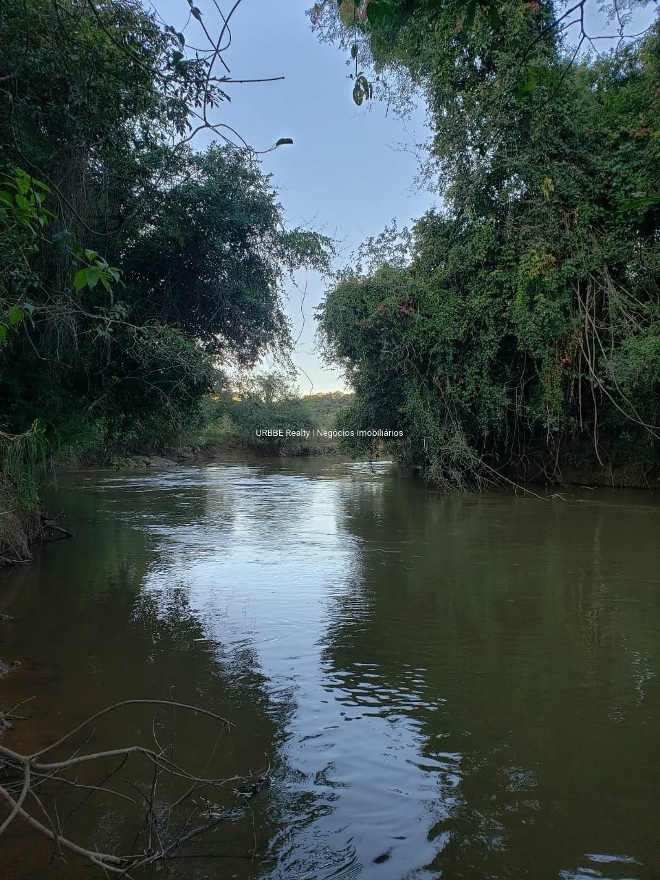 Imagem da propriedade 26287 56