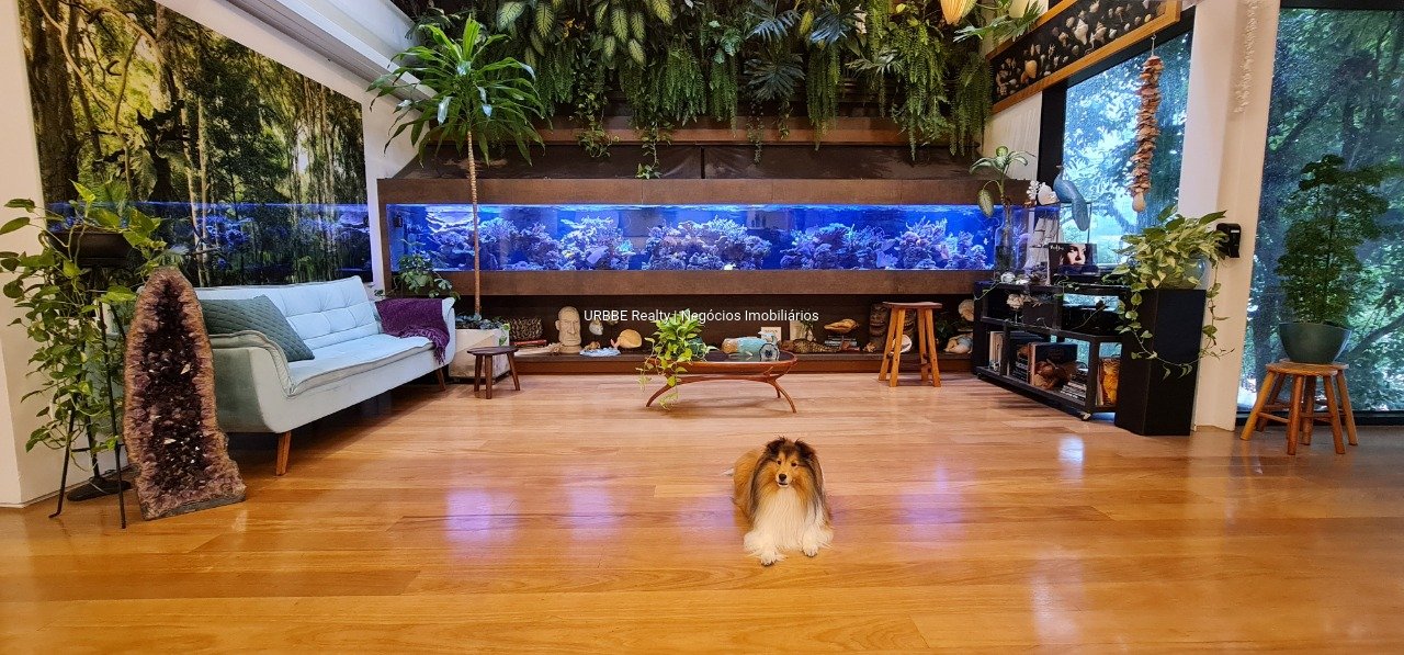 Imagem da propriedade 26294 4