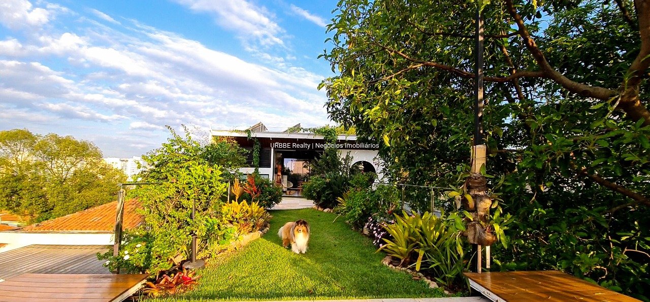 Imagem da propriedade 26294 25