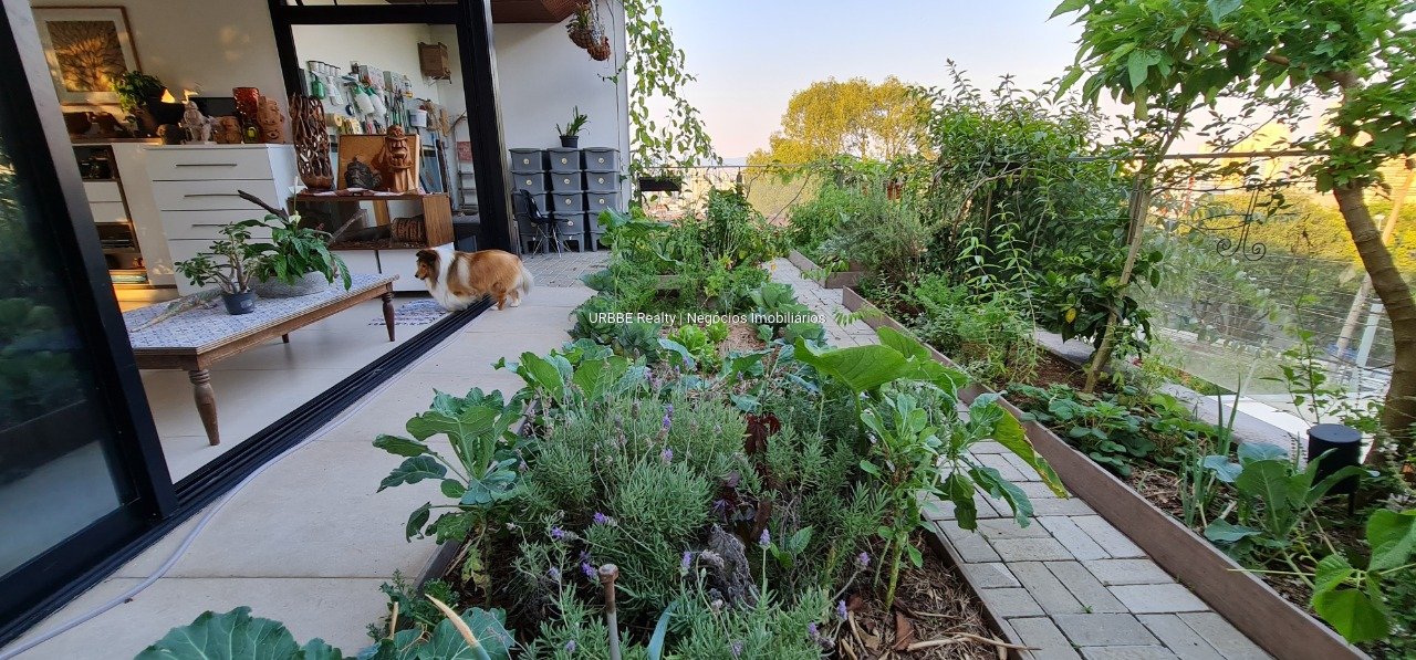 Imagem da propriedade 26294 63