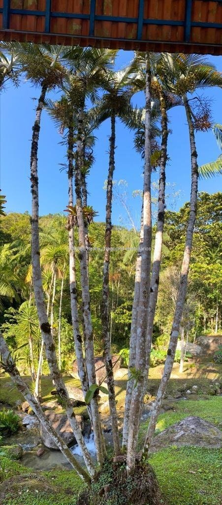 Imagem da propriedade 26298 29