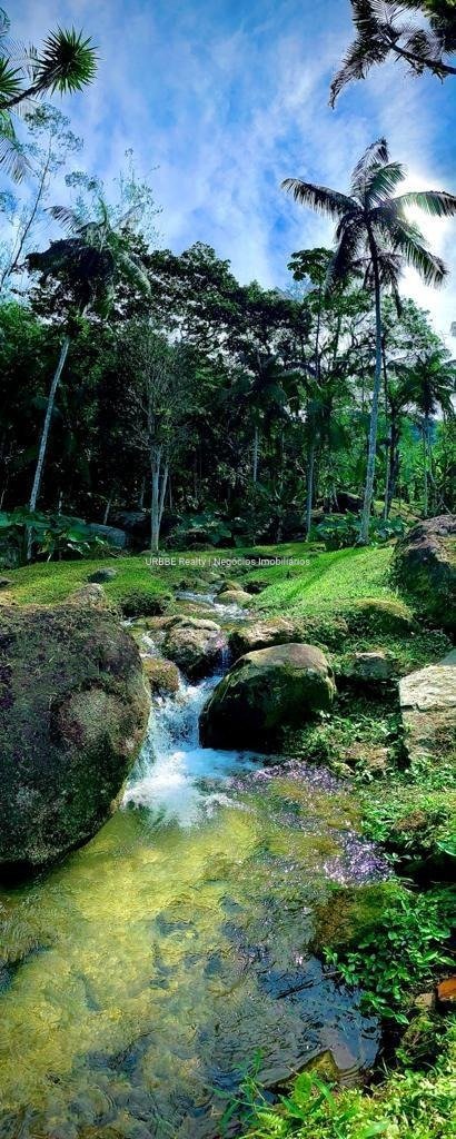 Imagem da propriedade 26298 32