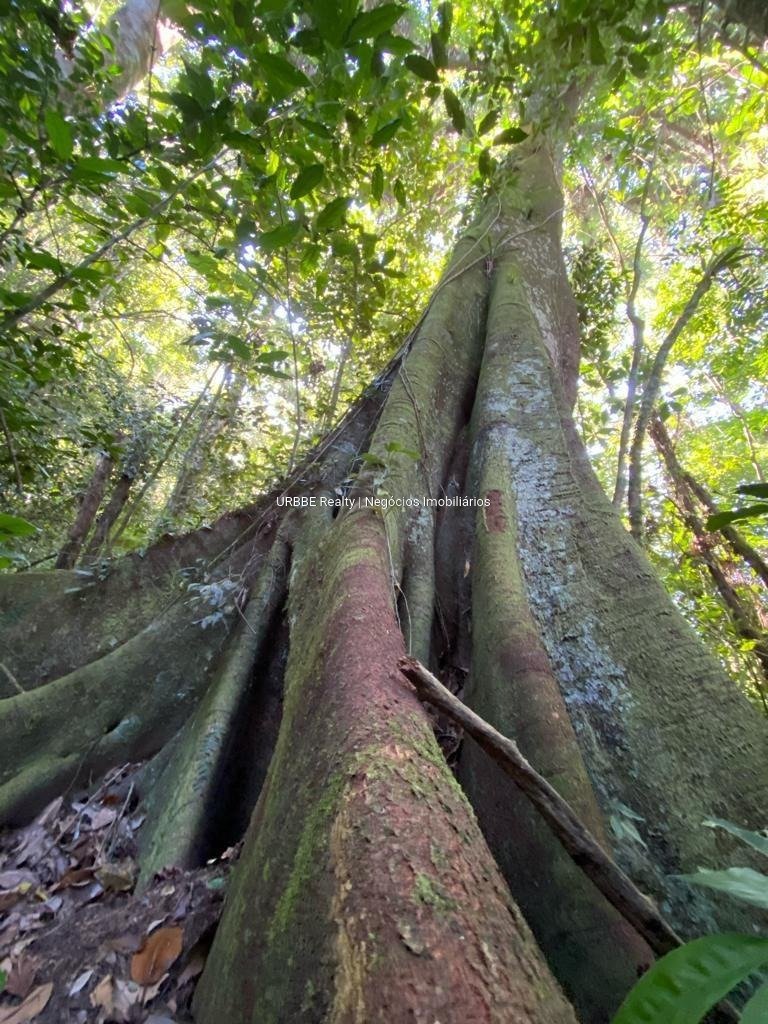 Imagem da propriedade 26298 37