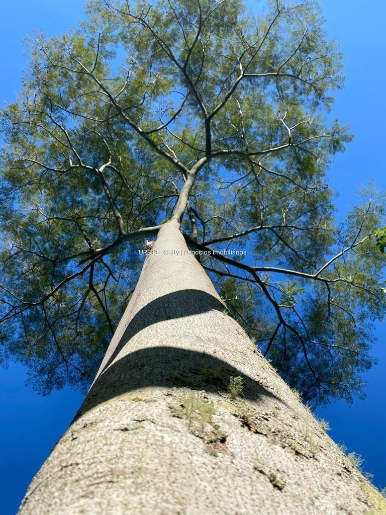 Imagem da propriedade 26298 39