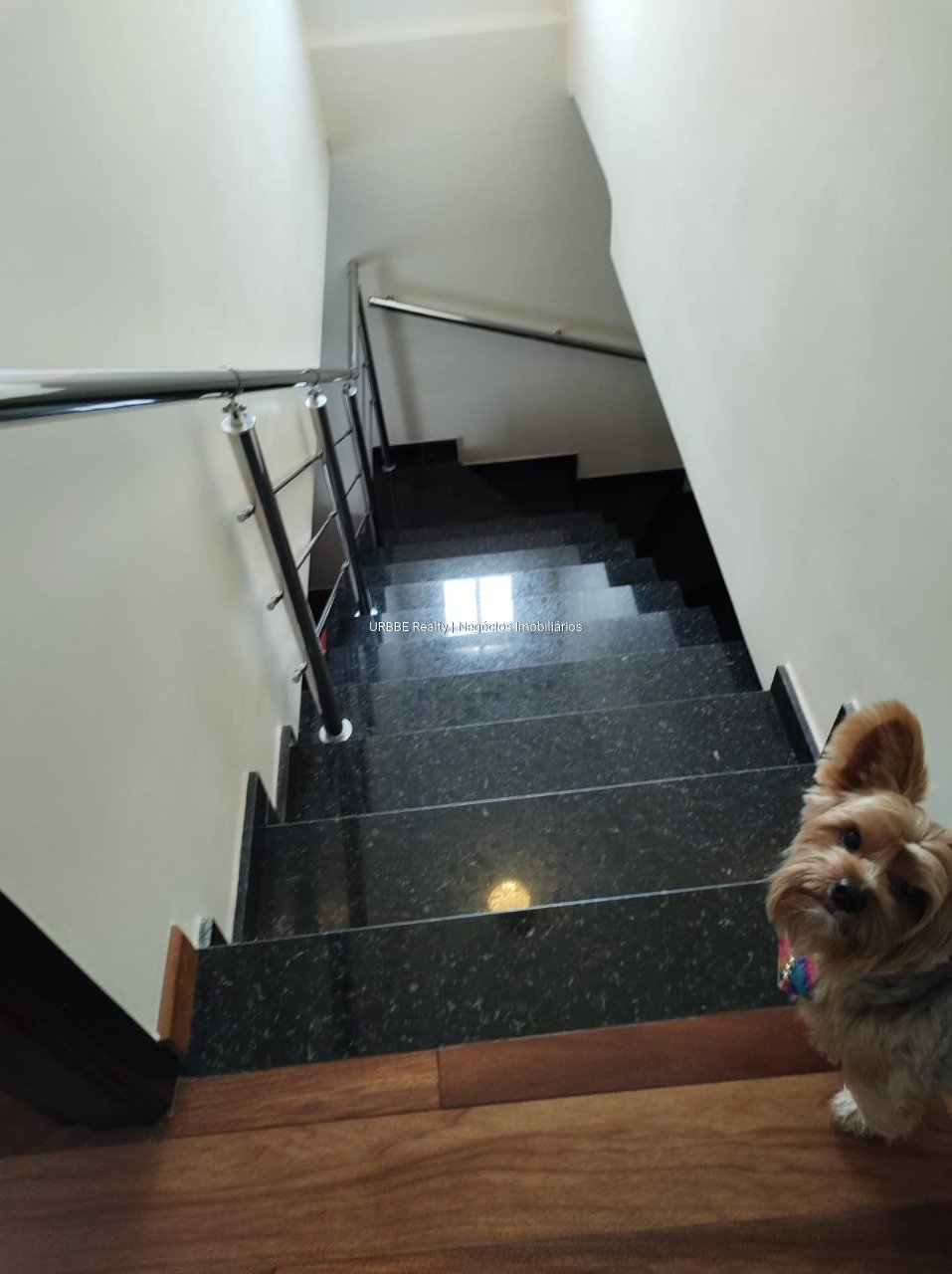 Imagem da propriedade 26418 5