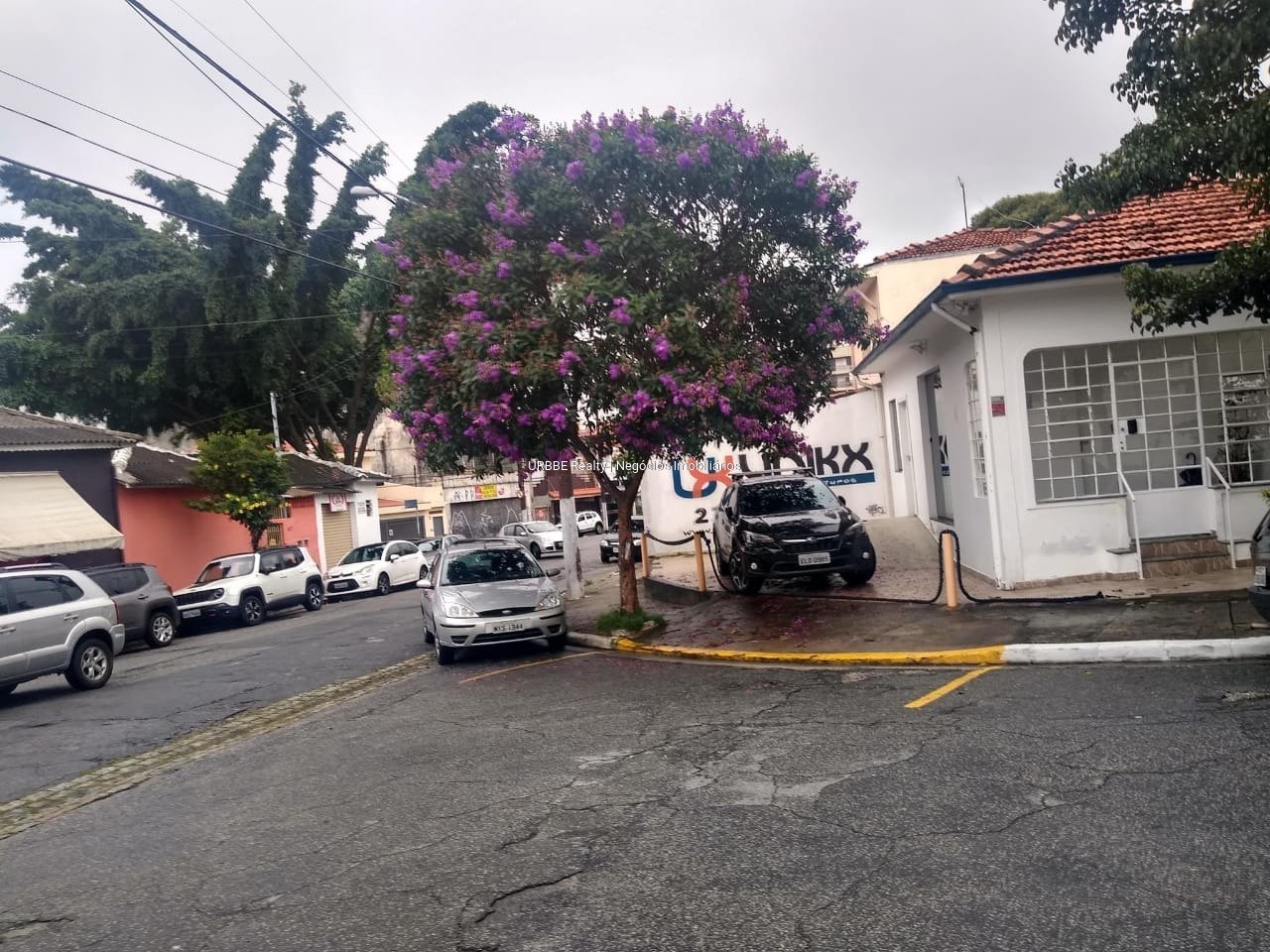 Imagem da propriedade 26426 22