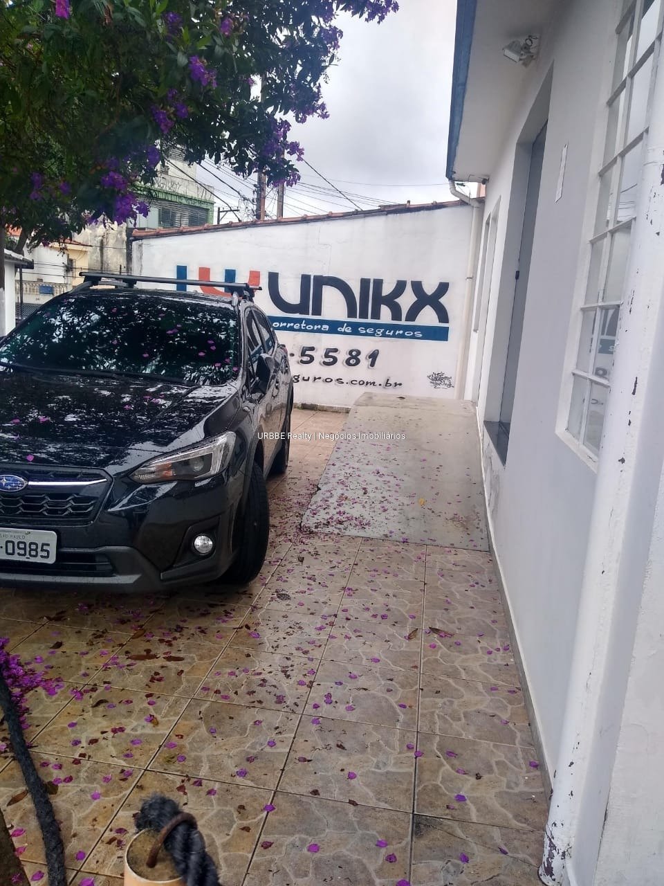 Imagem da propriedade 26426 24