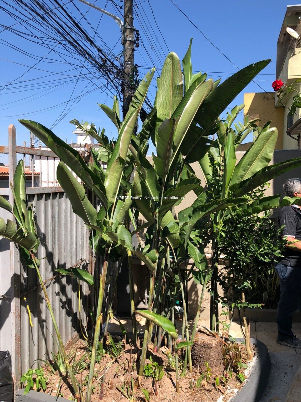 Imagem da propriedade 26434 10