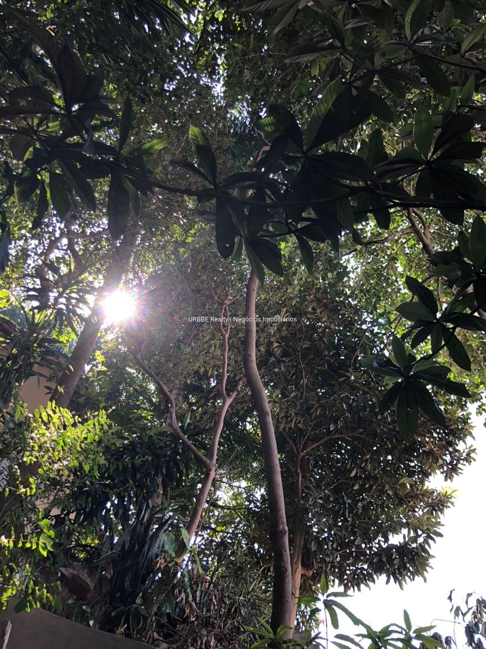 Imagem da propriedade 26434 11