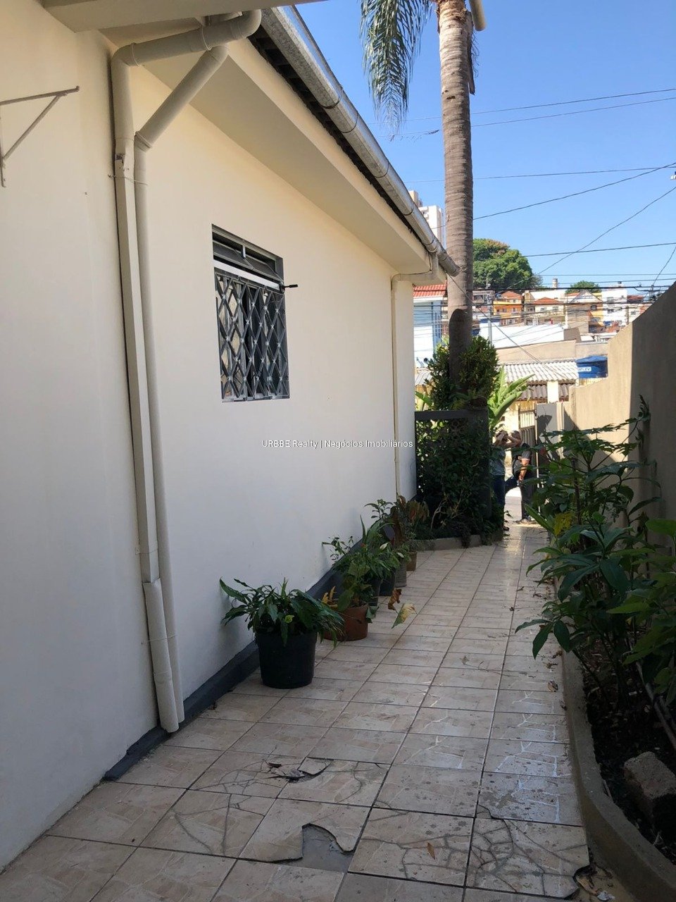 Imagem da propriedade 26434 7