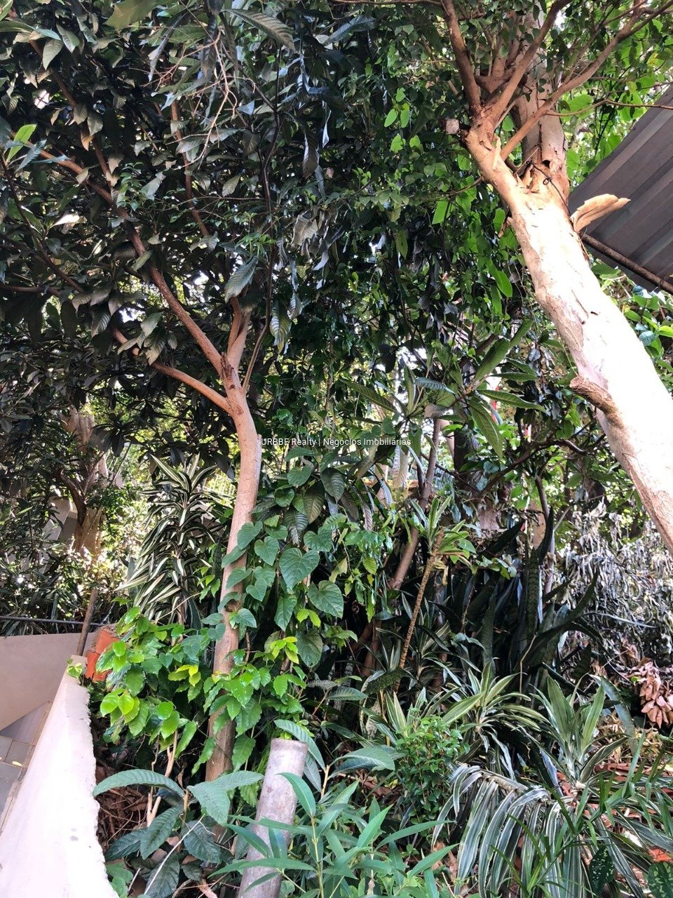 Imagem da propriedade 26434 12