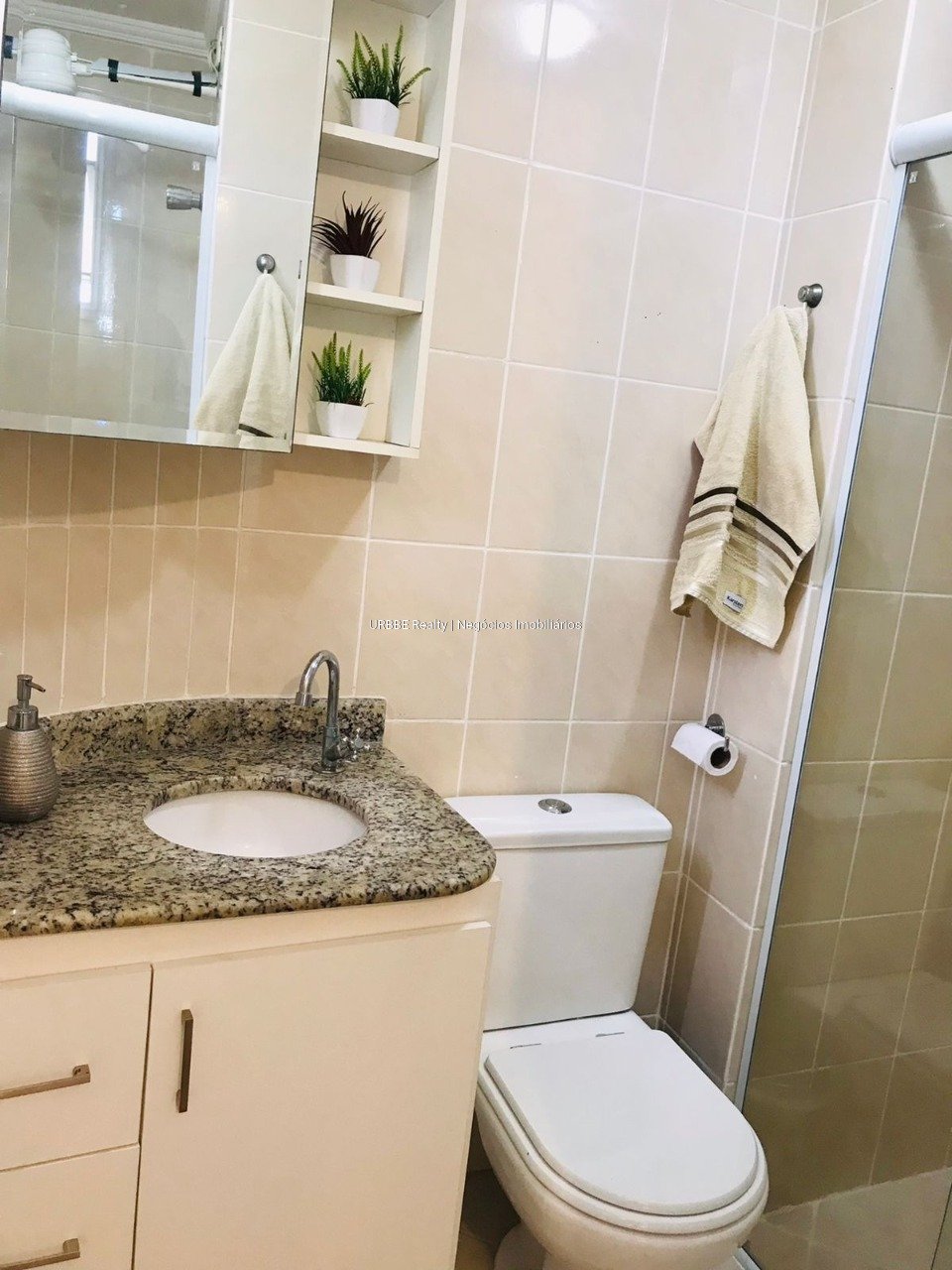 Imagem da propriedade 26497 13