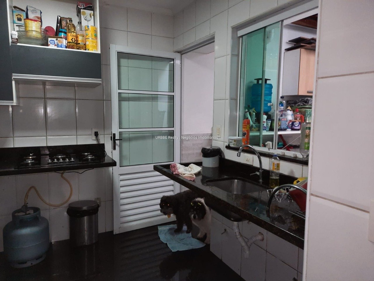 Imagem da propriedade 26561 39